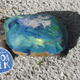 All Images: Florida Fish and Wildlife Conservation Commission